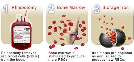 Phlebotomy Process